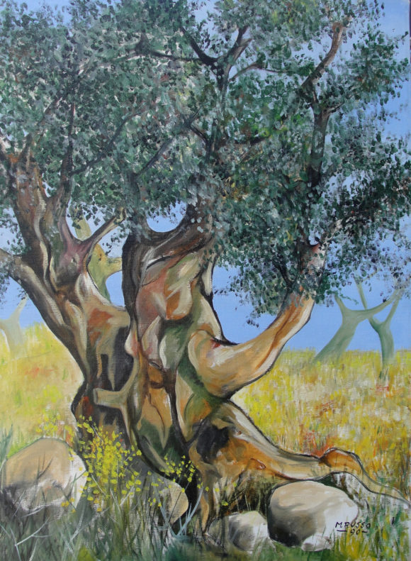Ulivo di Calabria