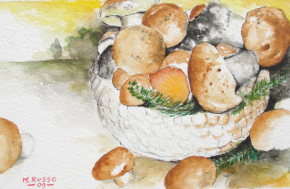 I meravigliosi funghi della Sila n. 1