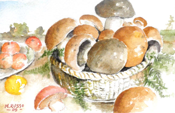 I meravigliosi funghi della Sila n. 2